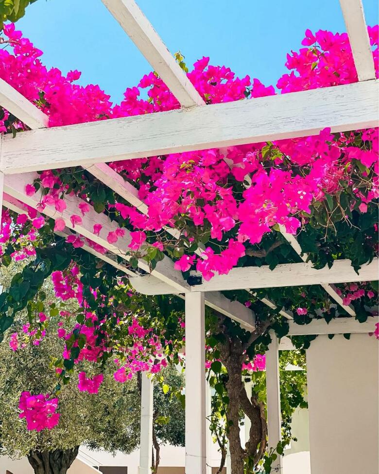 Lindos Athena Hotel