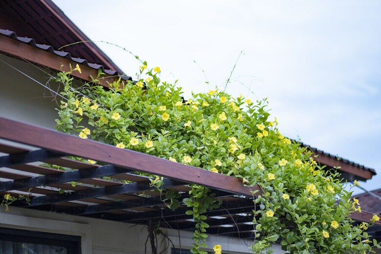 Hotel Bao Ninh Beach Resort