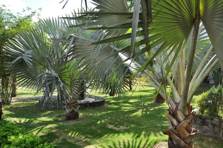 Hotel Bao Ninh Beach Resort