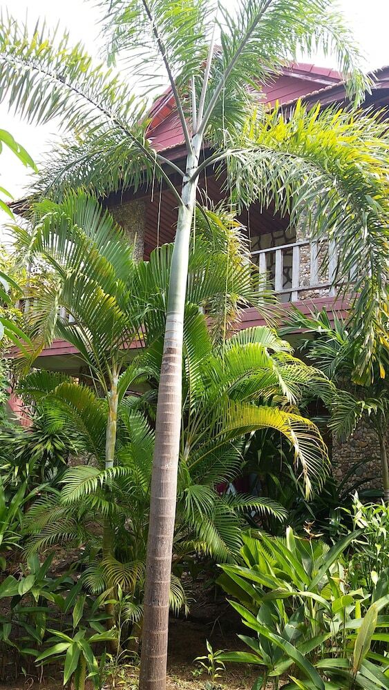 Hotel Tara Lodge