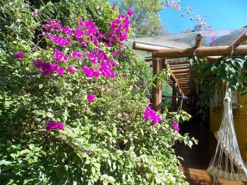 Hostal Pousada Villa Dos Quilombolas