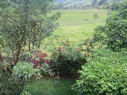 Hostal Pousada Rota Dos P�ssaros