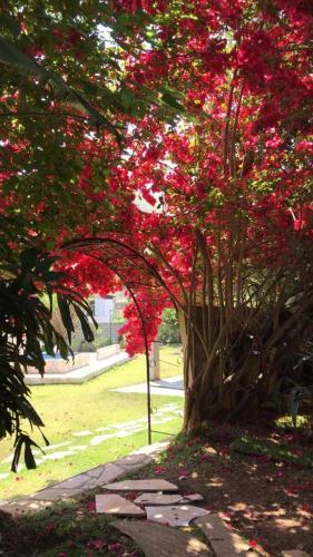 Hostal Pousada Rota Dos P�ssaros