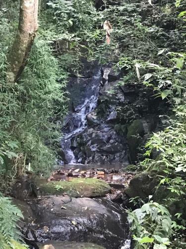 Hostal Pousada Recanto Da Siriema