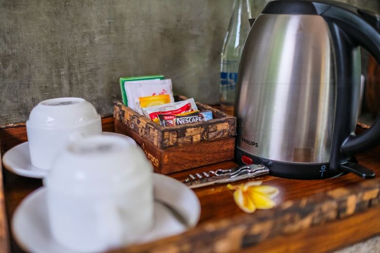 Hotel Purana Boutique Resort
