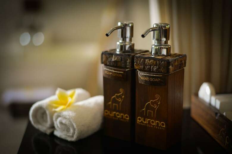 Hotel Purana Boutique Resort