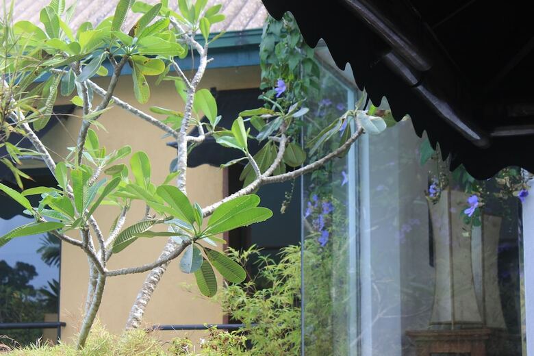 Hotel Villa Escondite