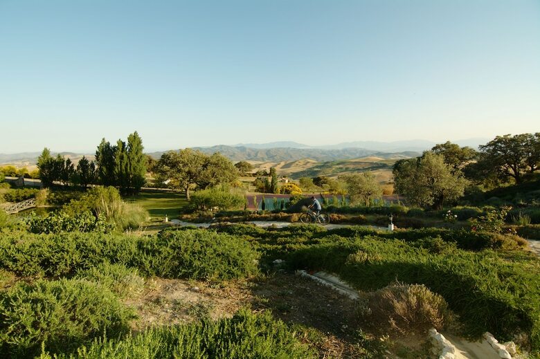 Hotel Fuente Del Sol