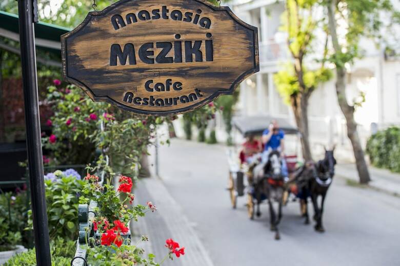 Anastasia Meziki Hotel