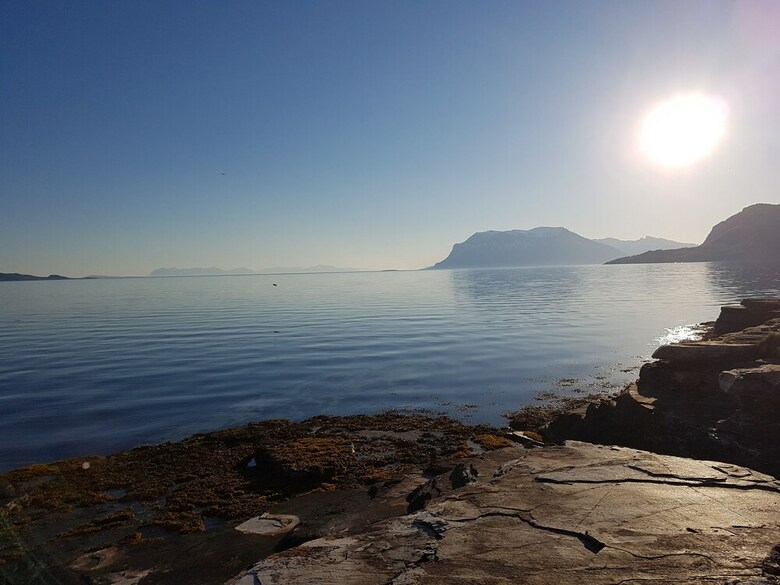 Tjeldsundbrua Camping