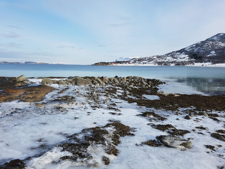 Tjeldsundbrua Camping