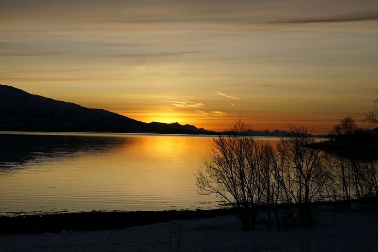 Tjeldsundbrua Camping