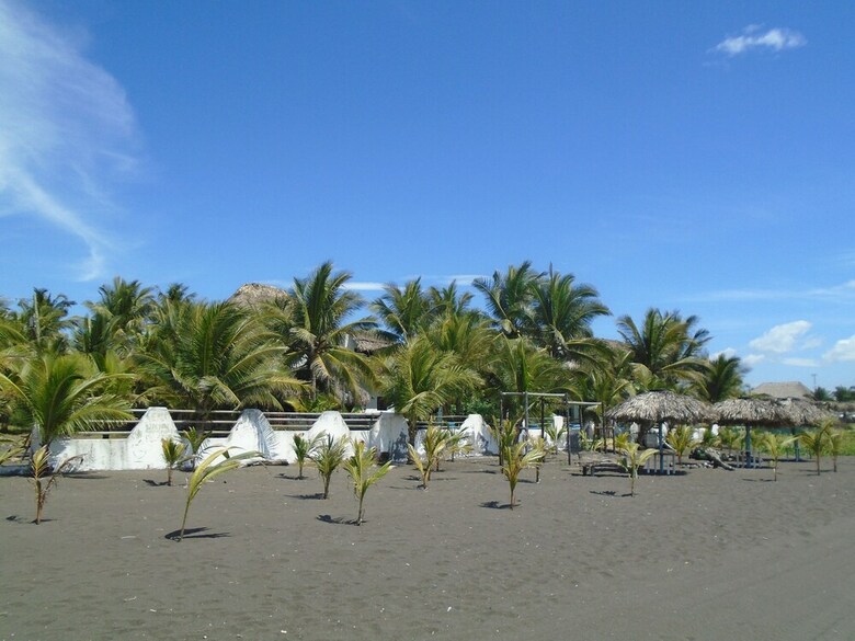Hotel Marbella Eco Lodge