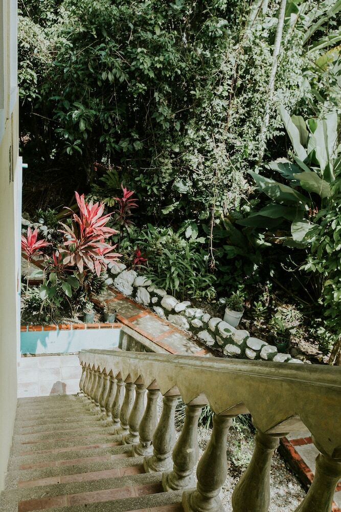Hotel La Posada And Jungle
