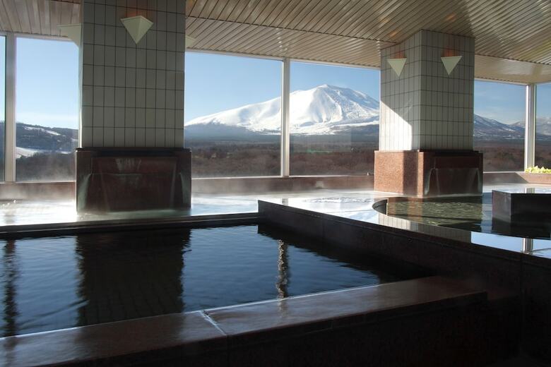 Hotel Villa Kitakaruizawa L Wing