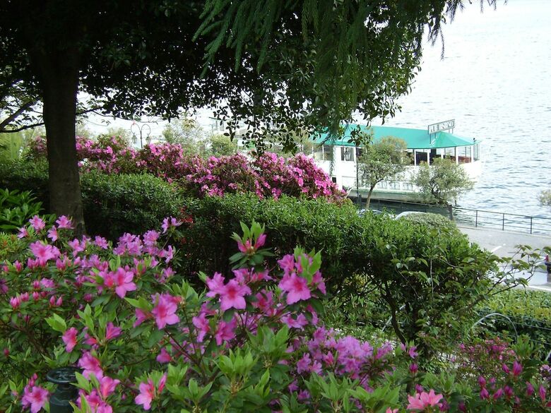 Apartamento Azalea & Glicine House