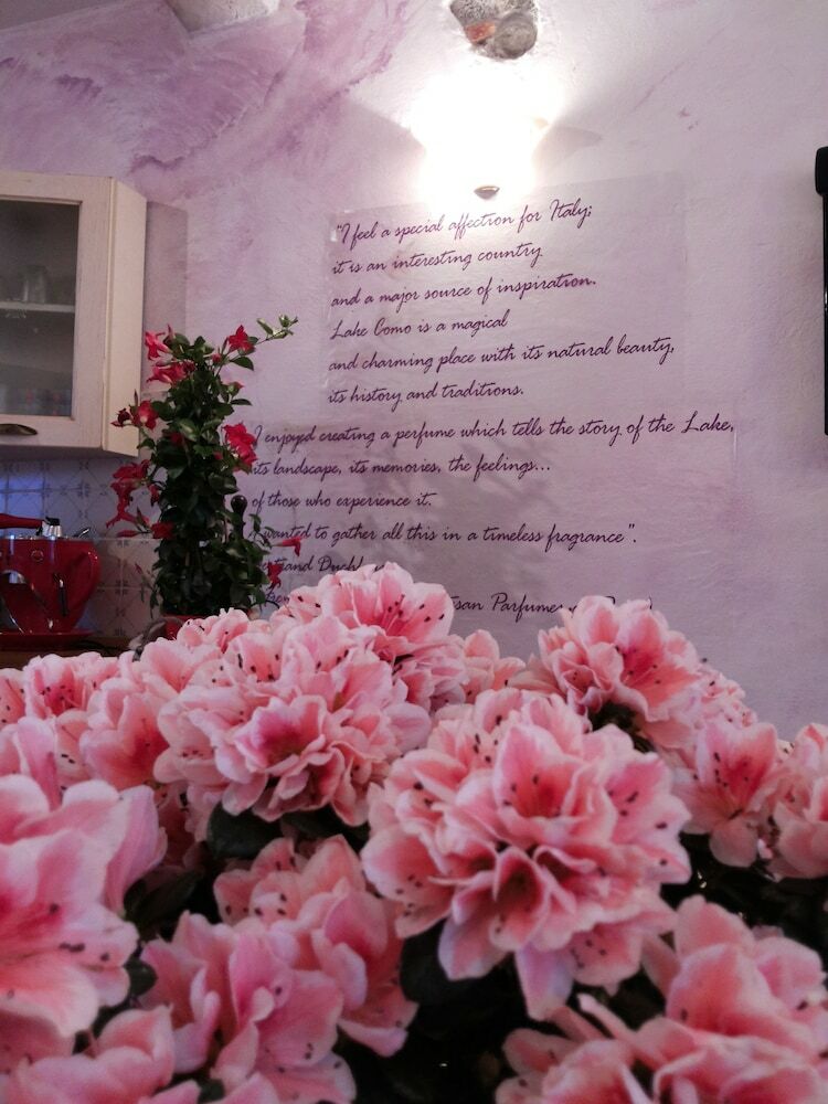 Apartamento Azalea & Glicine House