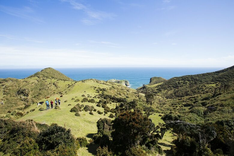 Tierra Chilo� Hotel & Spa