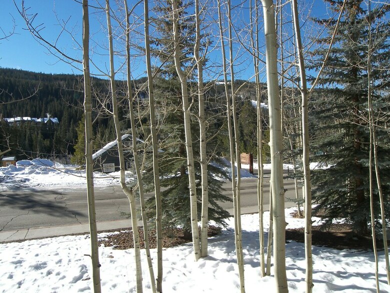 Arapahoe Lodge 1 Bed 1 Bath B