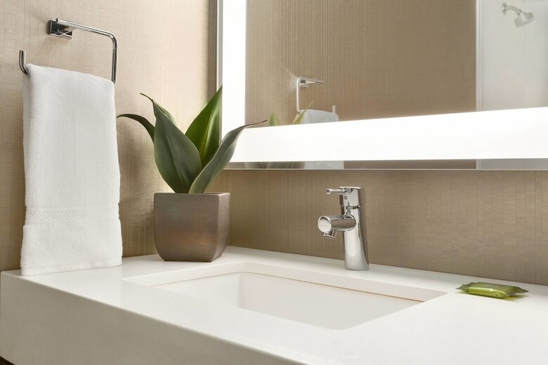 Delta Hotels By Marriott Detroit Metro Airport