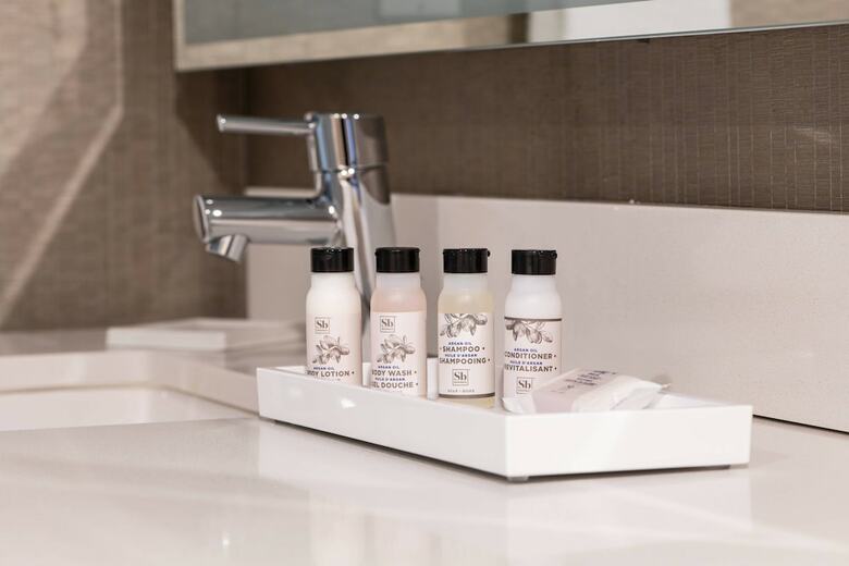 Delta Hotels By Marriott Detroit Metro Airport