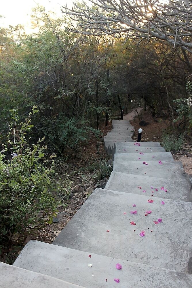Thulamela Bed And Breakfast