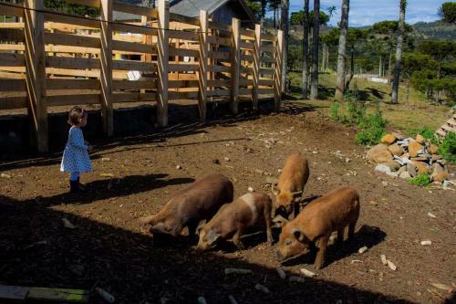 Agroturismo Pousada Vale Da Neblina