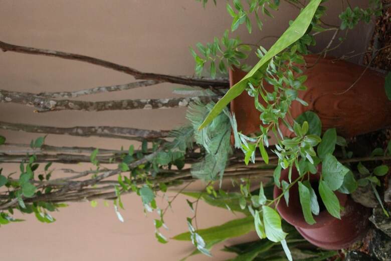 Changes In Latitudes Bed And Breakfast Inn
