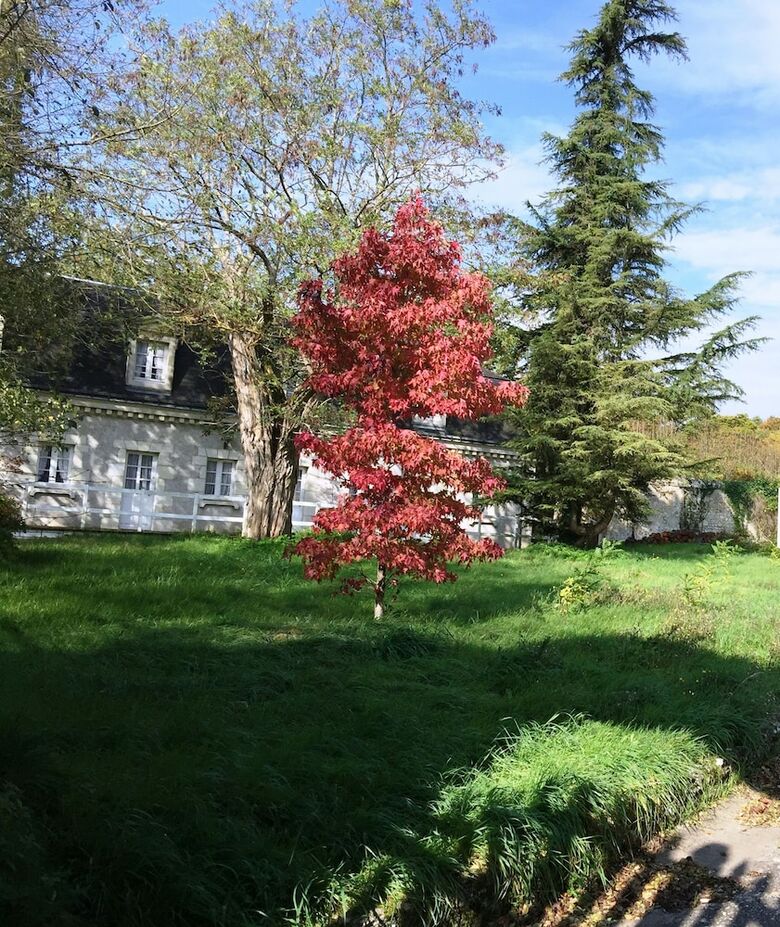 Domaine Le Plessis Gallu - Meubl� de Tourisme 5*