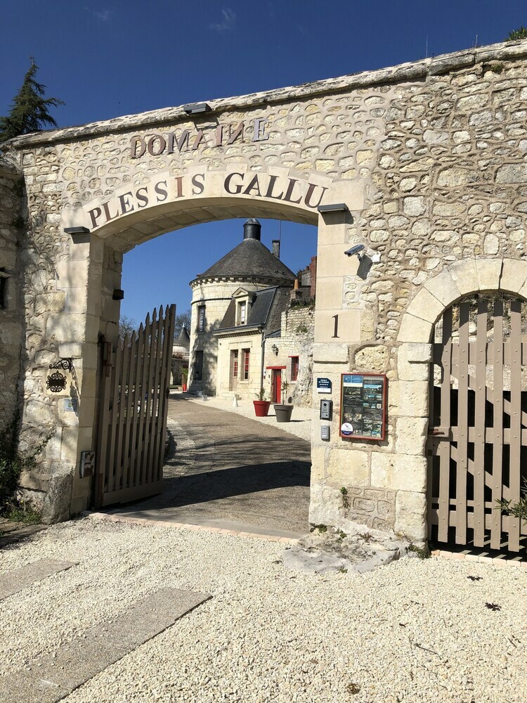 Domaine Le Plessis Gallu - Meubl� de Tourisme 5*