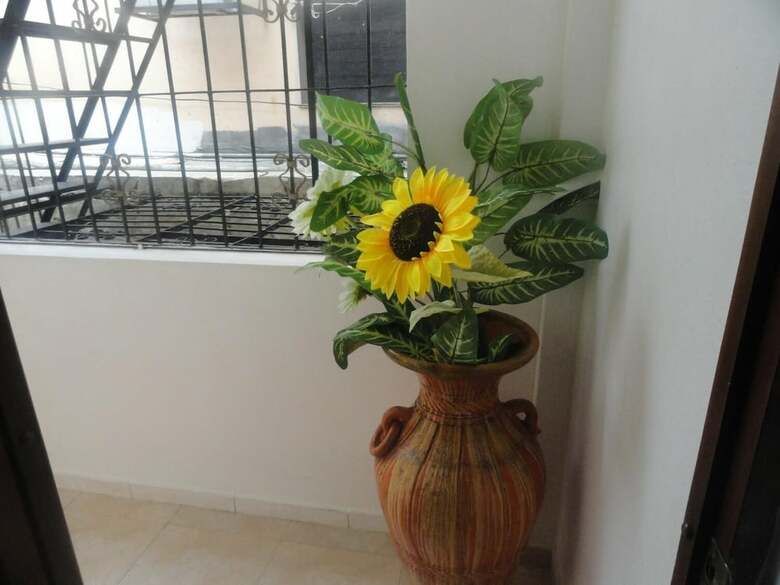 Hotel Odette Colonial