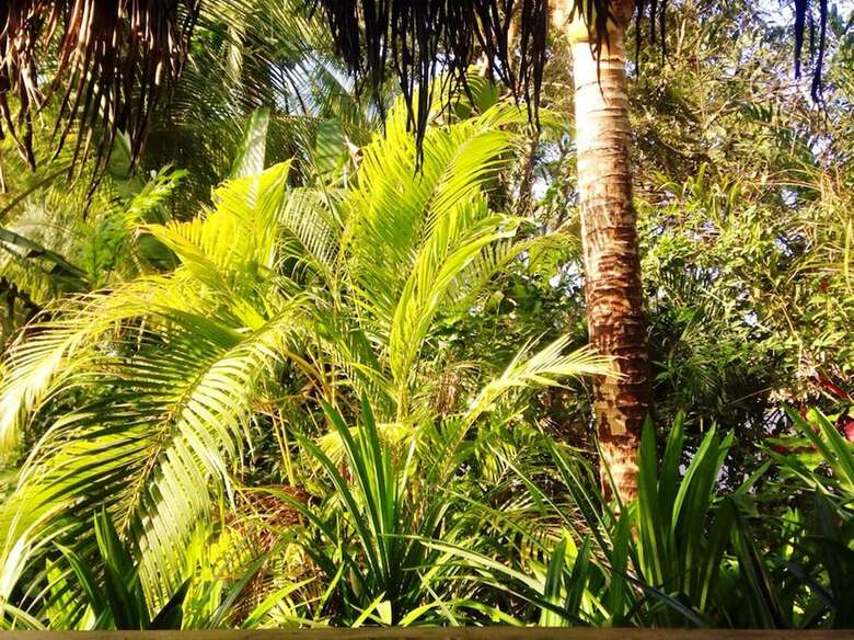 Hotel Freedomland Phu Quoc