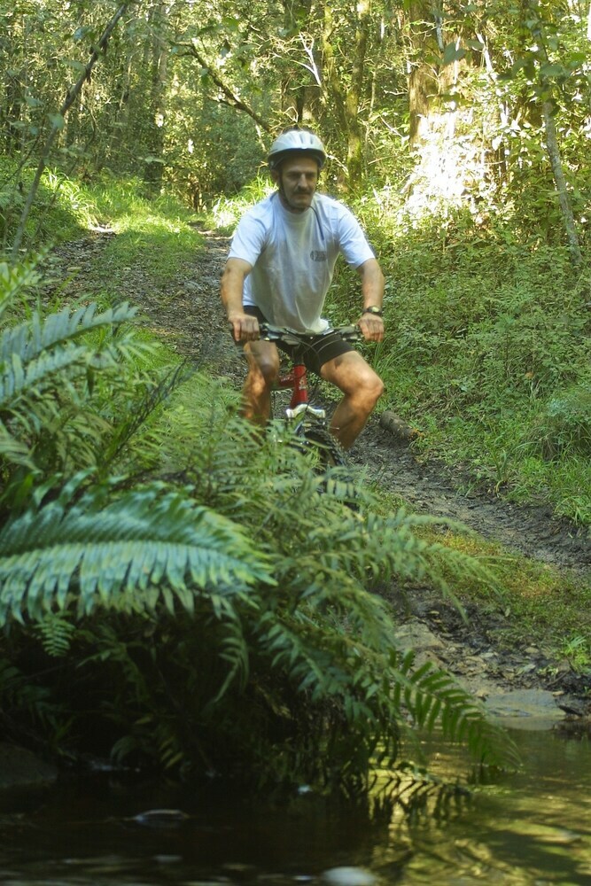 Posada The Fernery Lodge & Chalets