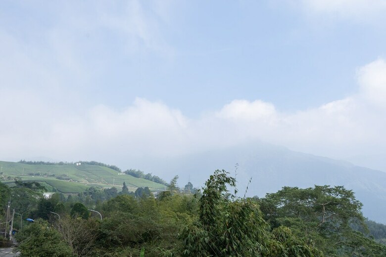 Hotel Alishan Tea Homestay