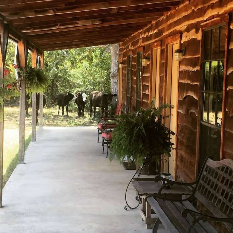 Bed & Breakfast Night Bird Ranch