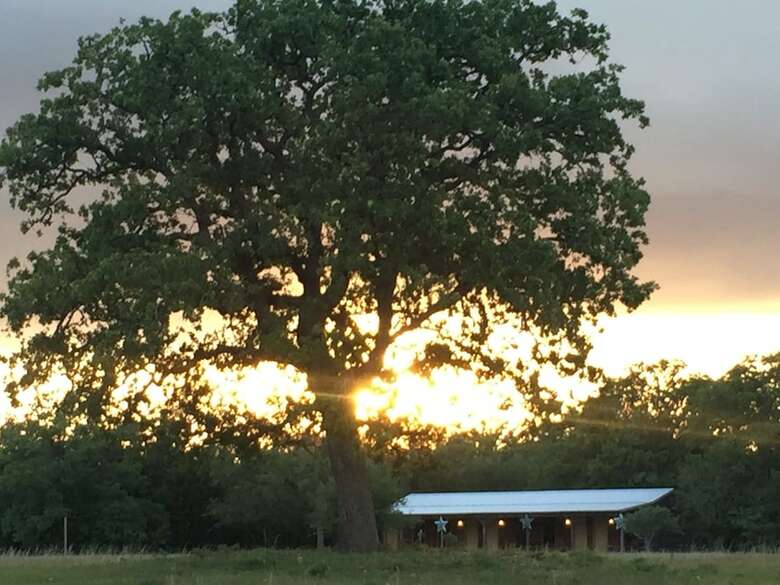 Bed & Breakfast Night Bird Ranch