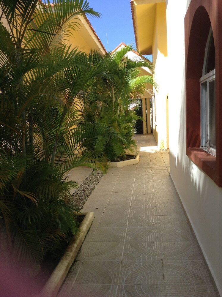 Paradise Apartment