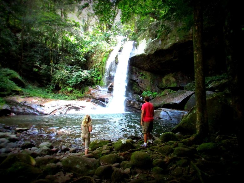 Udzungwa Forest Camp