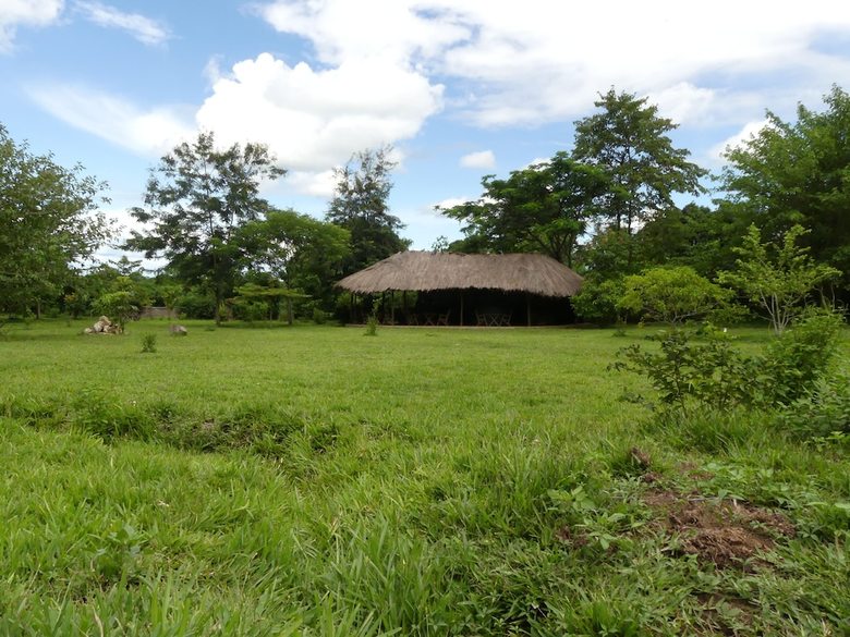 Udzungwa Forest Camp