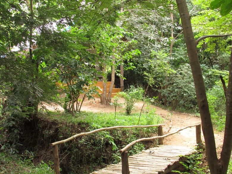 Udzungwa Forest Camp