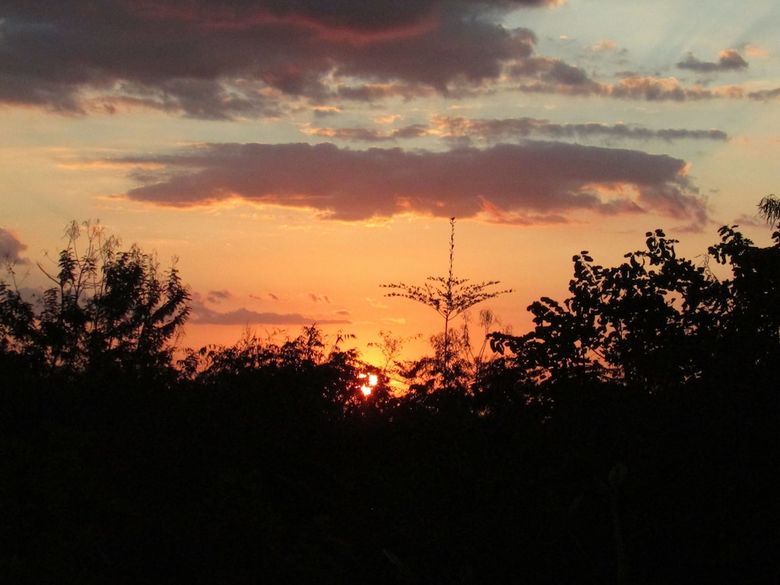 Udzungwa Forest Camp