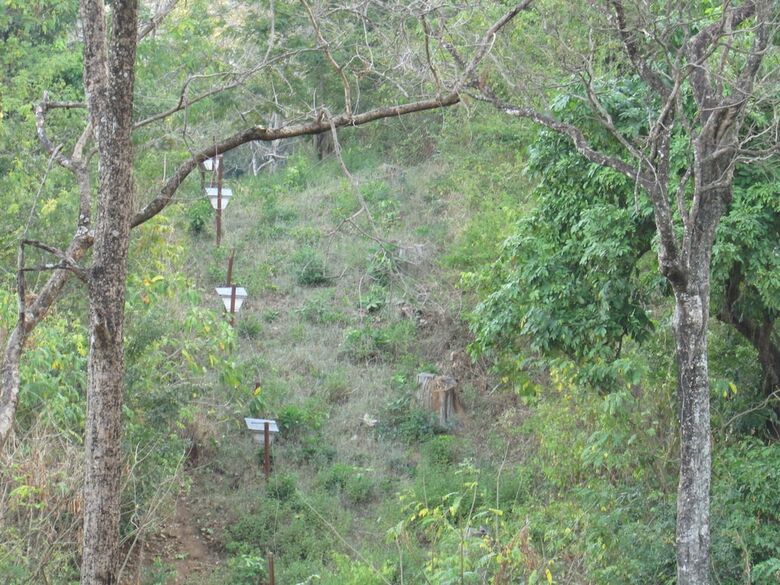 Udzungwa Forest Camp