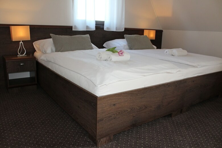 Pension Penzi�n & Wellness Zoborsk�