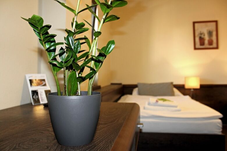 Pension Penzi�n & Wellness Zoborsk�