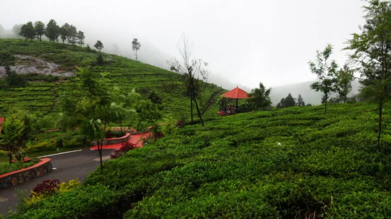Hotel Green Nest Resort