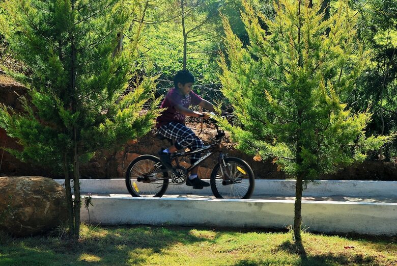 Hotel Green Nest Resort