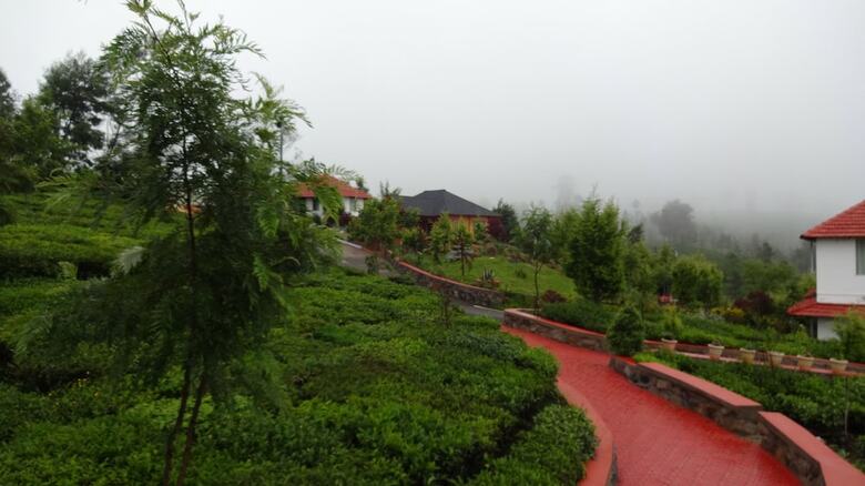 Hotel Green Nest Resort