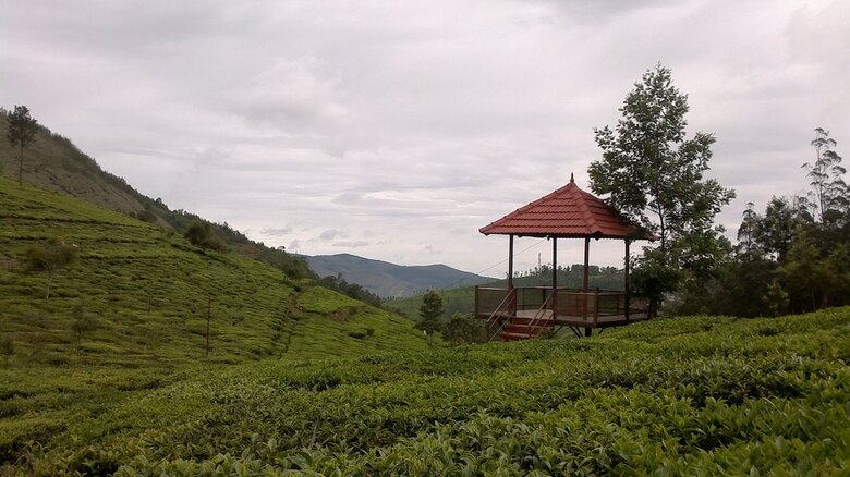 Hotel Green Nest Resort