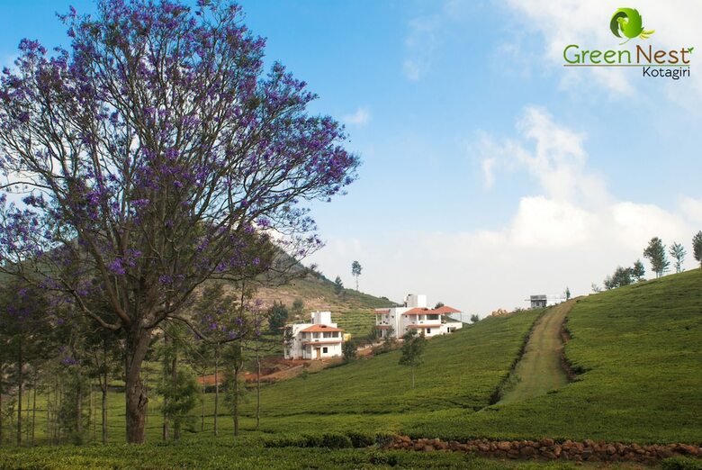 Hotel Green Nest Resort