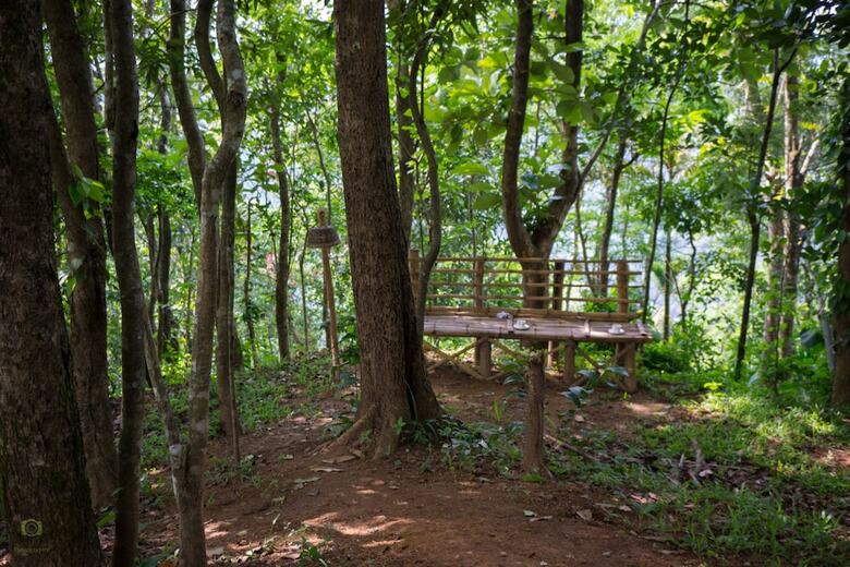 Hotel Season7 Nature Resort